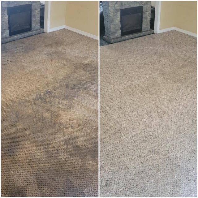 Carpet Cleaning Before and After